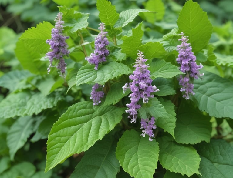 A friendly customer service representative answering calls in an office.