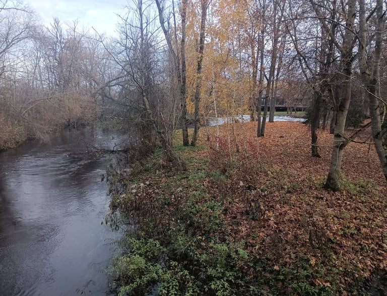 Nevėžis Tautkūnuose rudenį