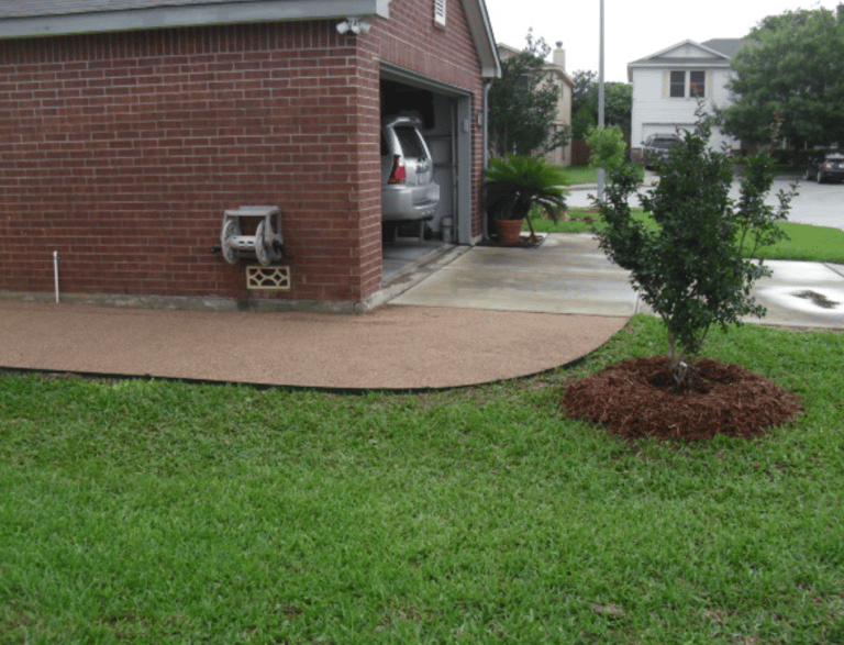 Decomposed Walkway with Tree