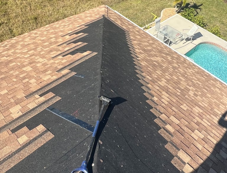 shingle roof repair by our company