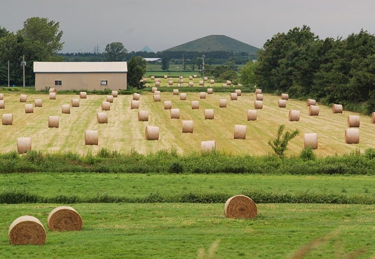 bale net wrap solutions and applications