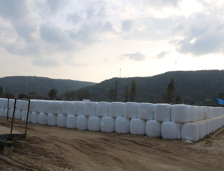 silage film solutions and applications