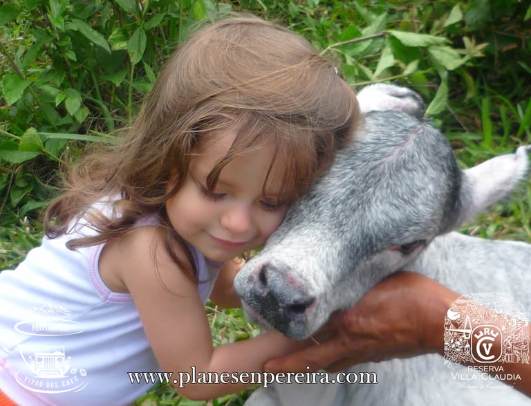 toures en Pereira Colombia