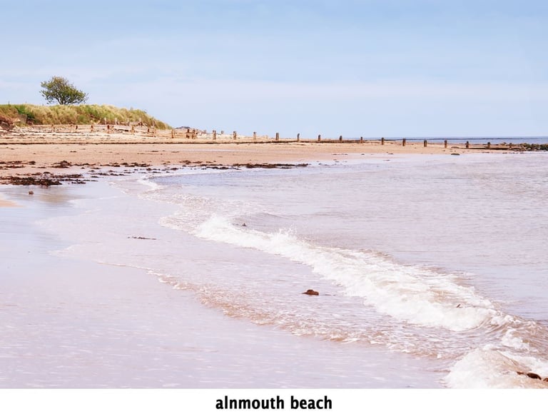 a quiet beach with a single wave at alnmouth