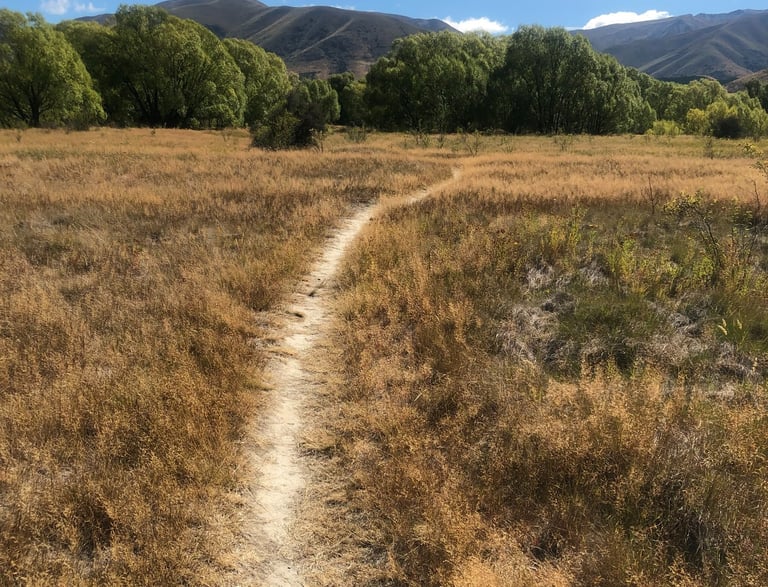 Peaceful pathway representing the journey of women's wellness workshops in Castlegar BC