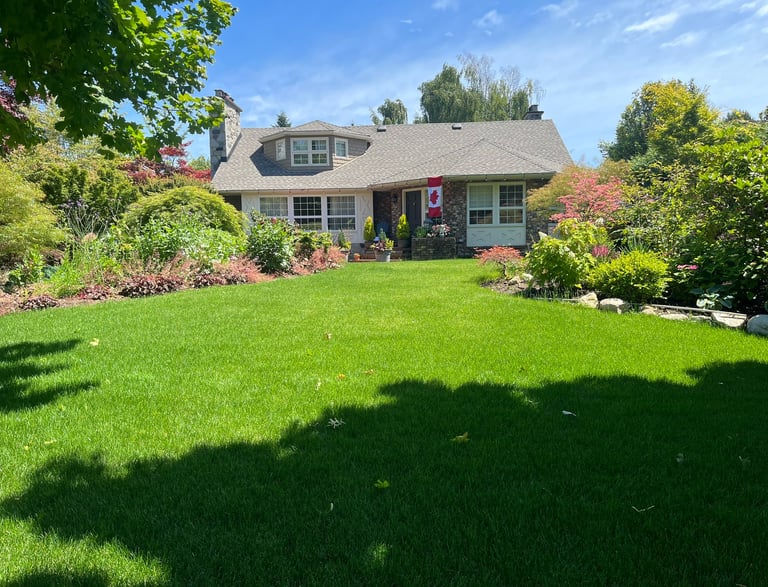 front lawn