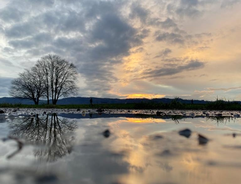 Winterliche See-Landschaft im Abendlicht