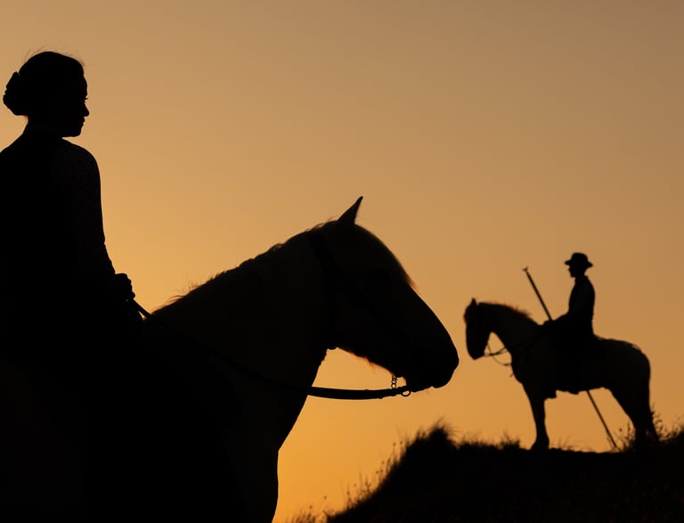 Silhouette of riders and horses against a golden sunset sky in the countryside.