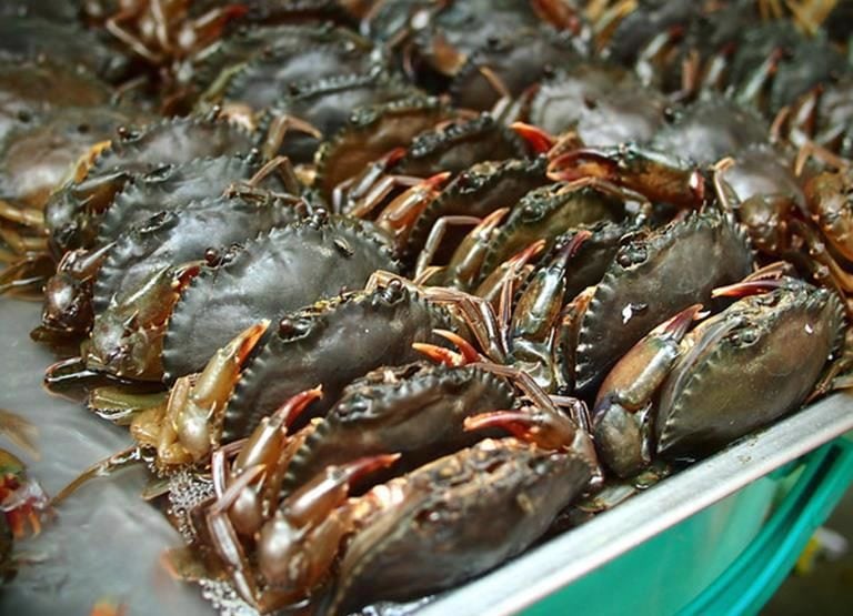 vietnamese crab supplier