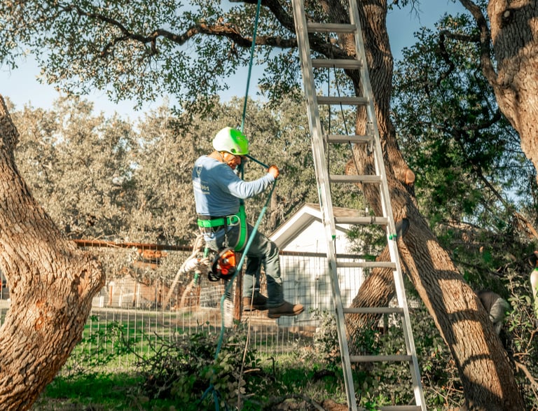a man is climbing up a ladder to reach a ladder