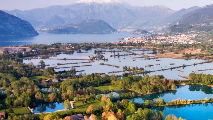 Le Torbiere del Sebino