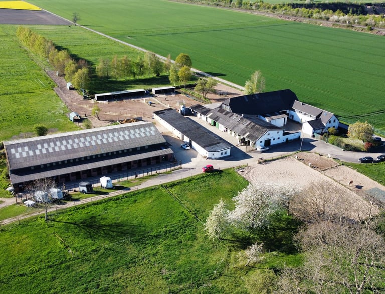 Aerial view of a rural horse farm with stables, riding arenas, and green pastures.