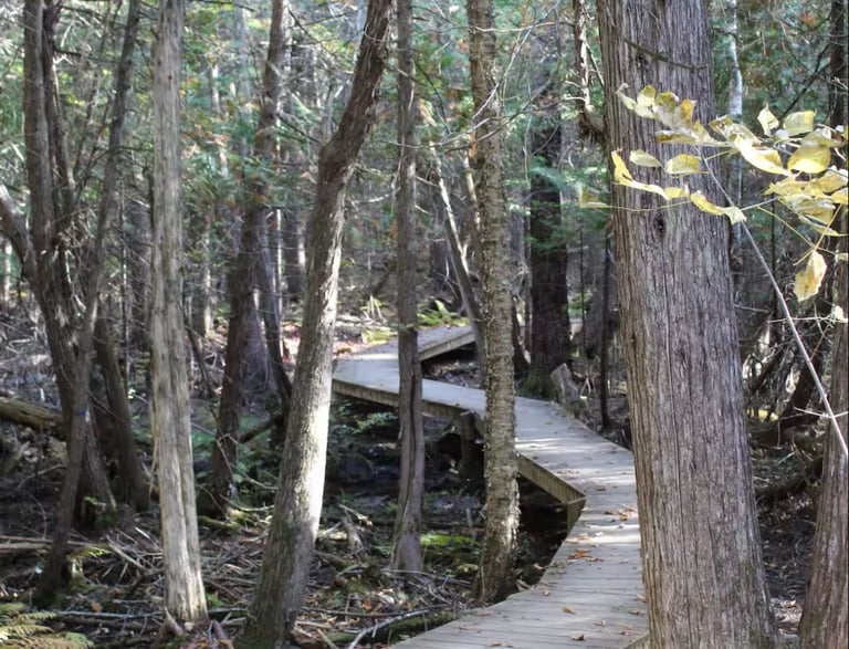 Hiking/biking path adjacent to property