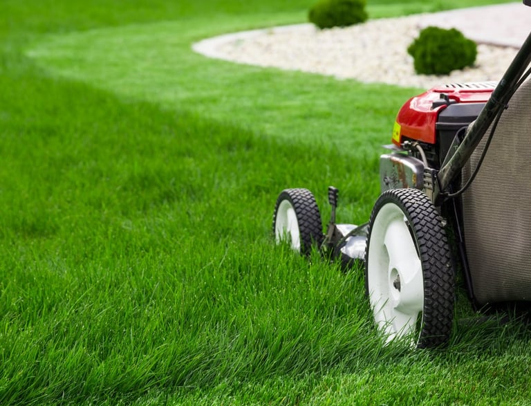 CALLE CINE 43 MADRID