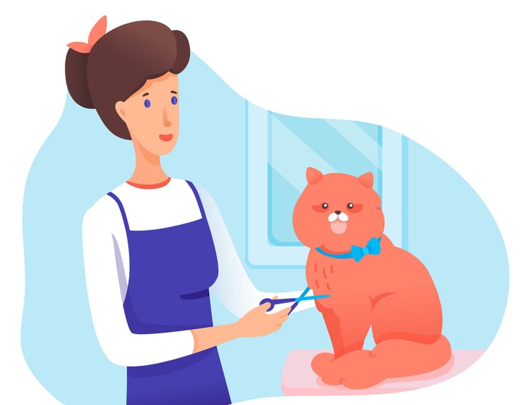 Professional cat groomers Doha