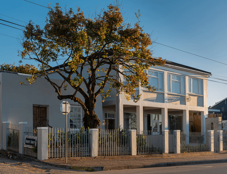 Exterior view of Art at Napier Gallery building with tree in front.