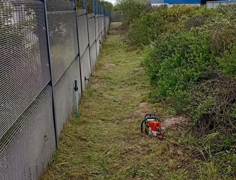 a red and white fire hydrant sitting in the grass