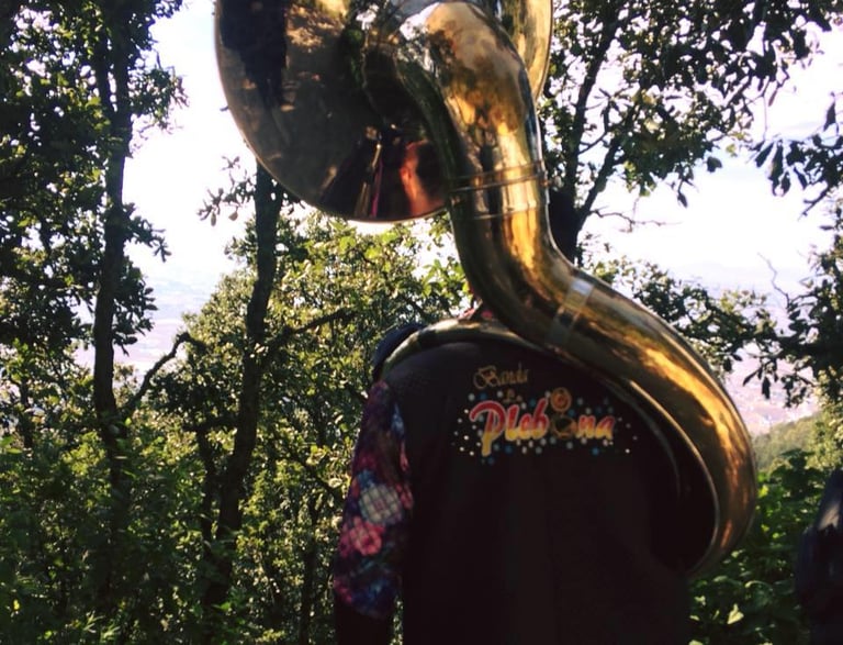 contacto banda la plebona