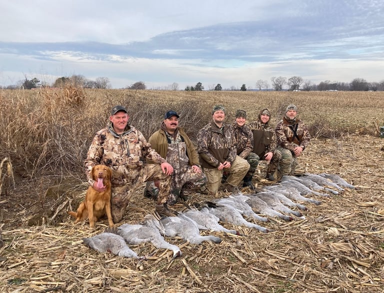 sandhill crane hunting guide