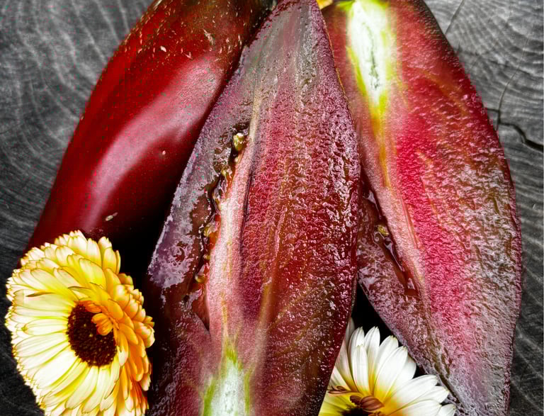 CUBAN PEPPER LIKE BLACK PASTE/SAUCE TOMATO VARIETY