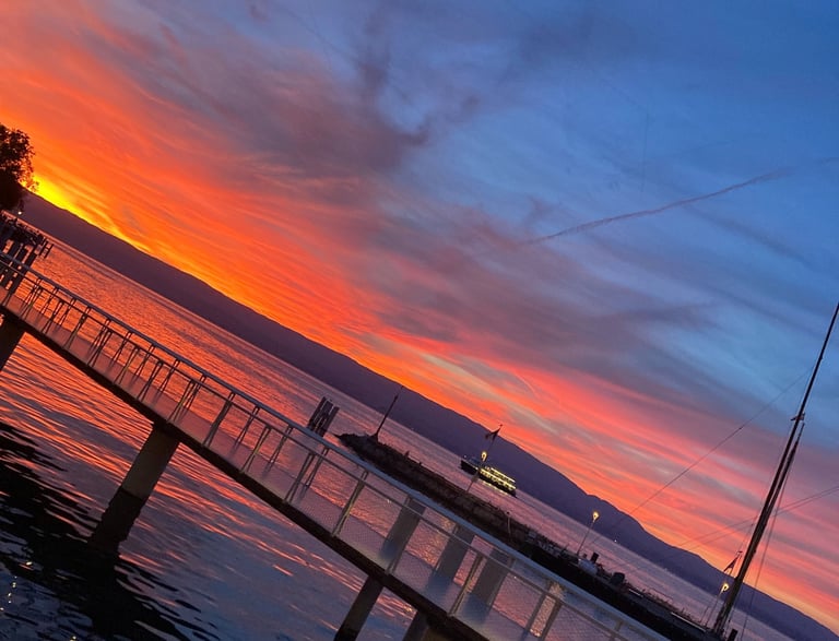 positiv'in coaching de vie psychologie positive changement résilience objectif bonheur