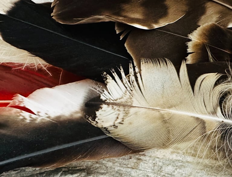 Soins énergétiques complémentaires à la médecine conventionnelle pour enfants, adultes et séniors