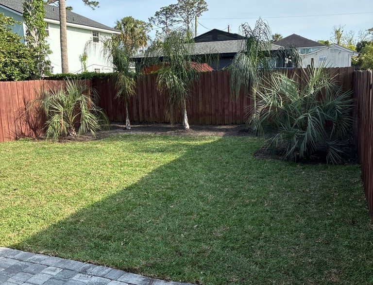 after landscaping in Atlantic beach fl