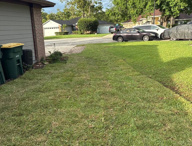 after resod Jacksonville FL