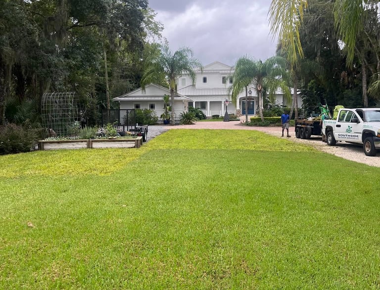 after resod Palm valley Fl 