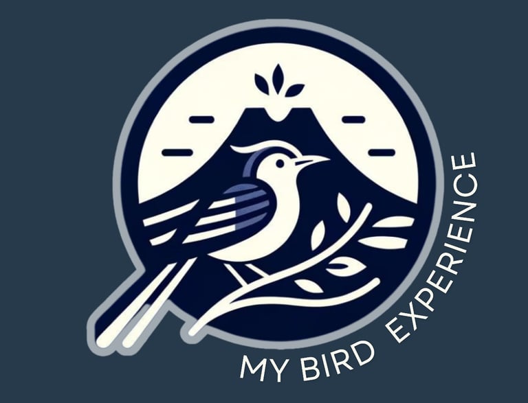 My bird Experience El Salvador - Logo