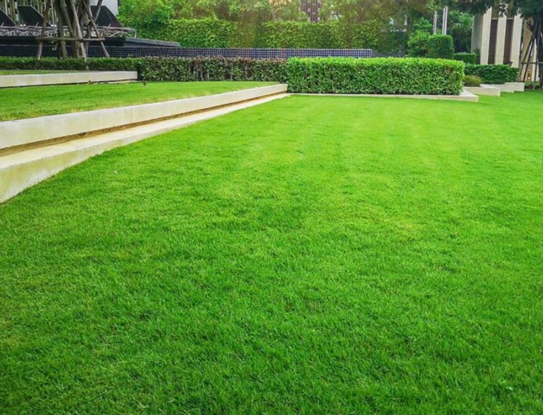 Entretien de jardins DG Services à Neuchâtel - tonte, taille et aménagement paysager durable