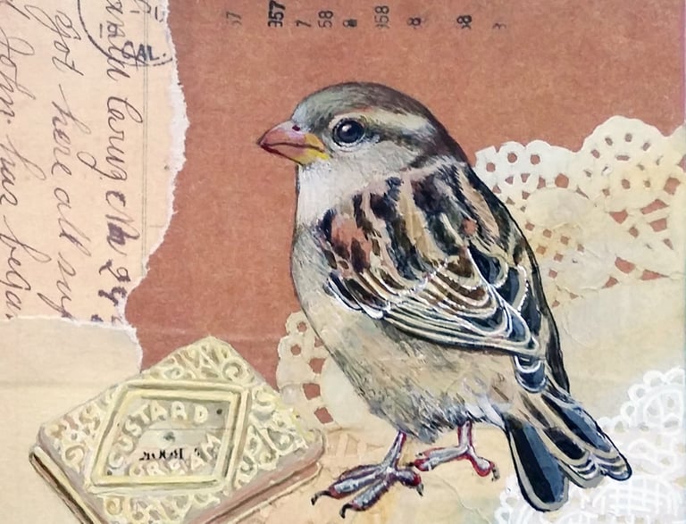 A lady Sparrow eating a custard cream biscuit mixed media painting by carolynne coulson