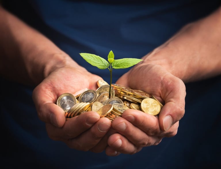 seed growth