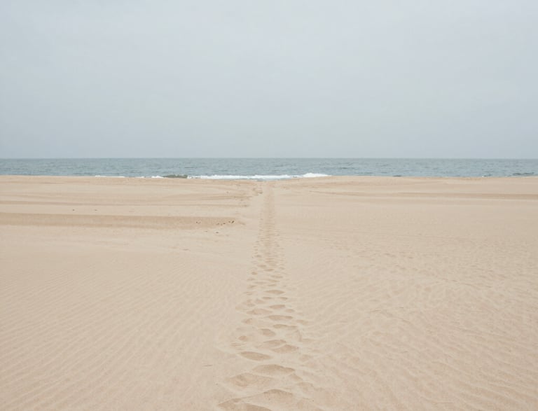 Softly lit workspace with neutral-toned stationery and a delicate plant on a cream desk.