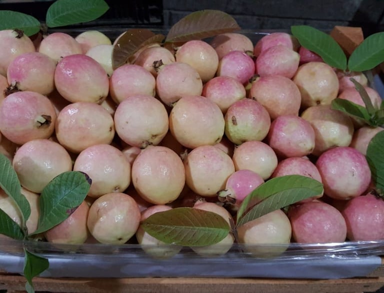 Caja de guayabas frescas seleccionadas para venta al mayoreo en Puebla"