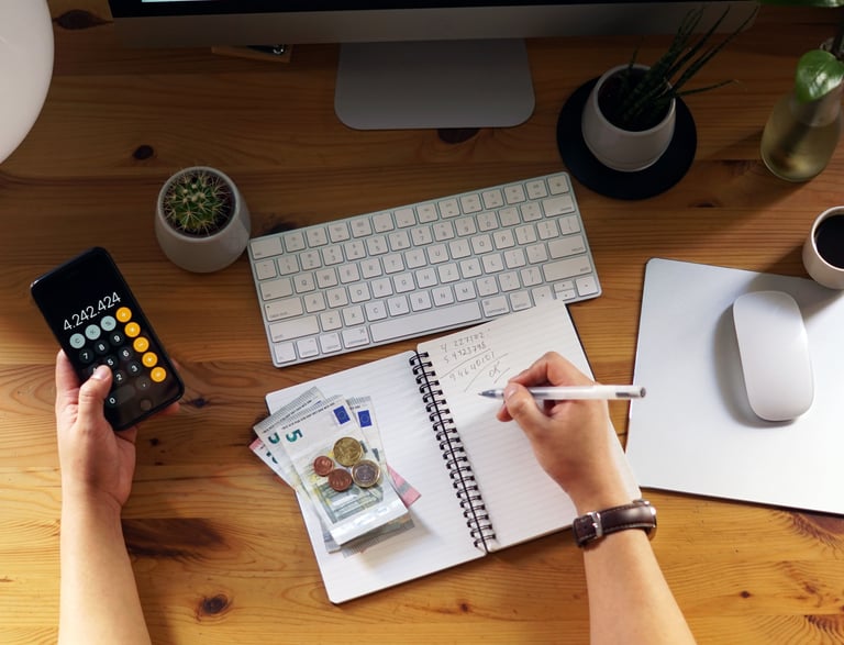 organizaçao financeira pessoal