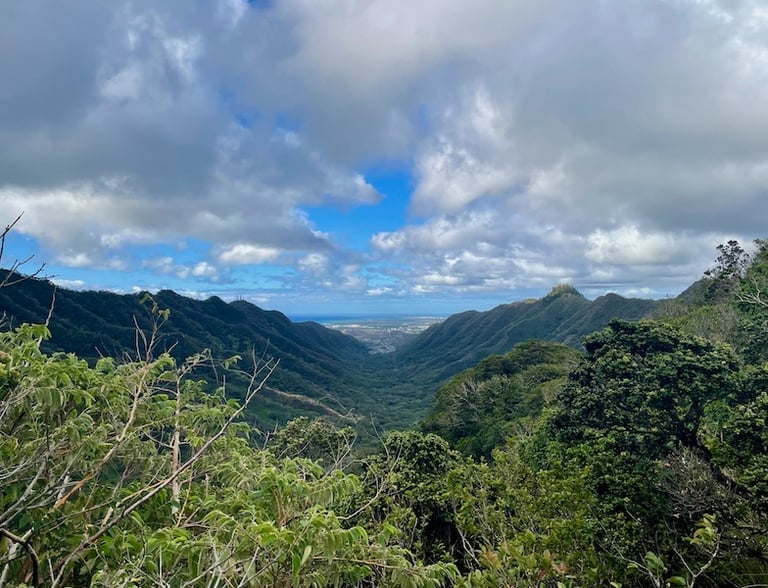 Moanalua Valley Trail Stairway to Heaven Oahu