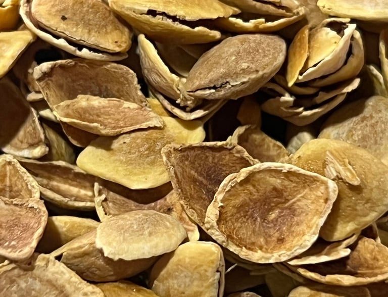 Tisana natural de mezquite