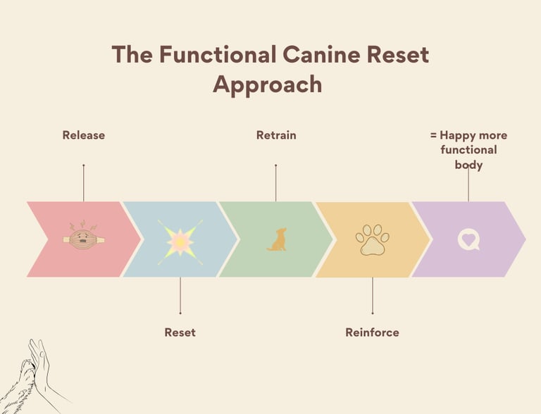 shows canine physiotherapy exercises and massage approach in cornwall