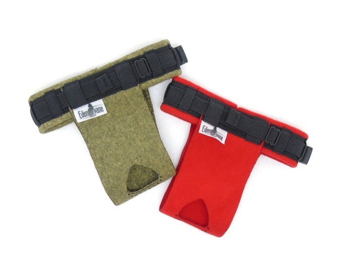 culotte incontinence urinaire chat