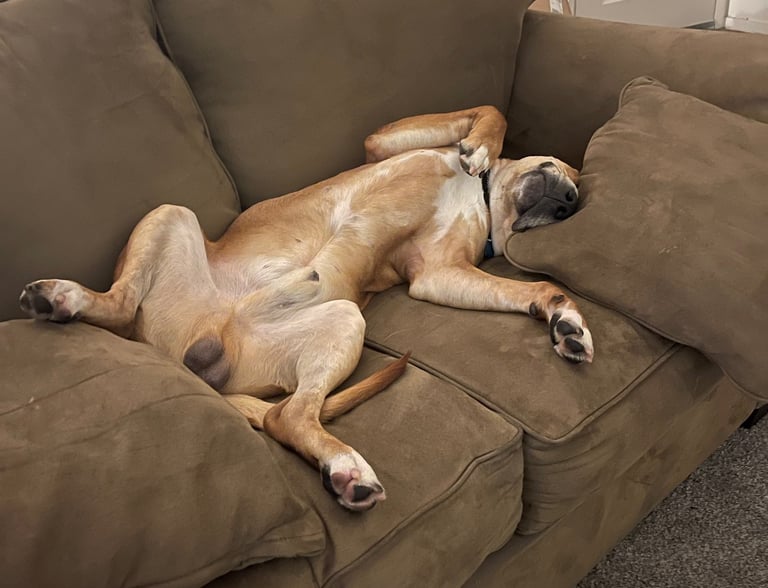 Moment of relaxation