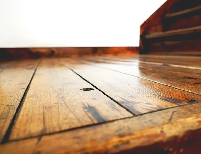 The warm texture of aged wooden flooring at Nakadaya, an authentic Japanese inn.