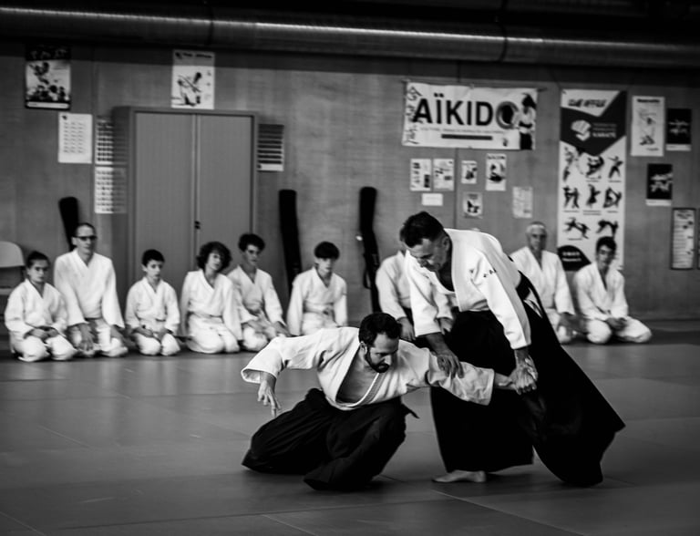 aïkido baisieux arts martiaux démonstration