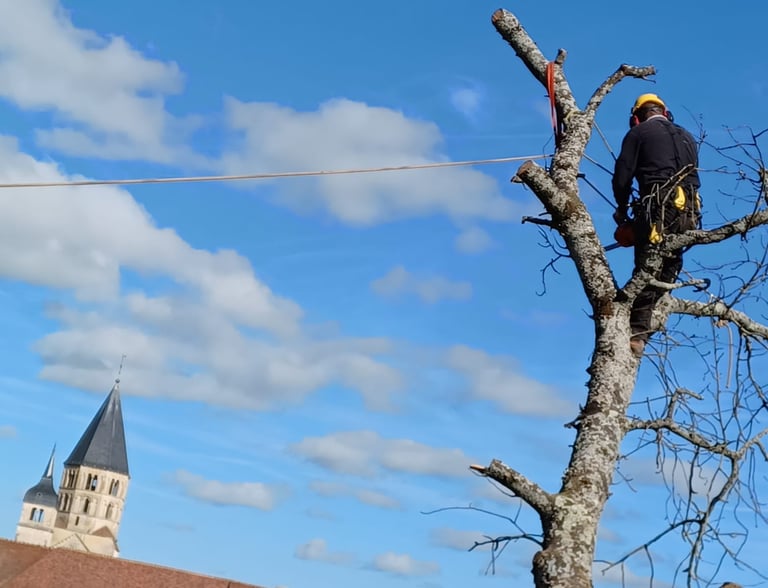 Paysagiste à cluny