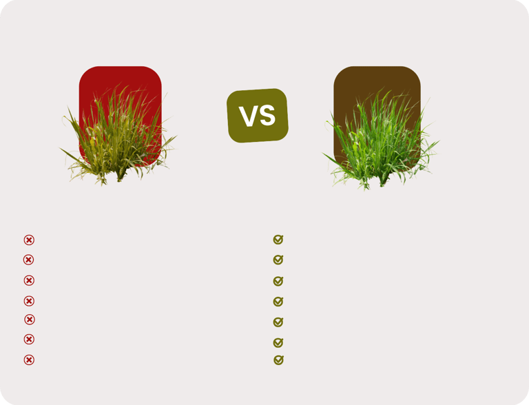Produits bio EIA SOl pour les sols et plantes en aveyron 