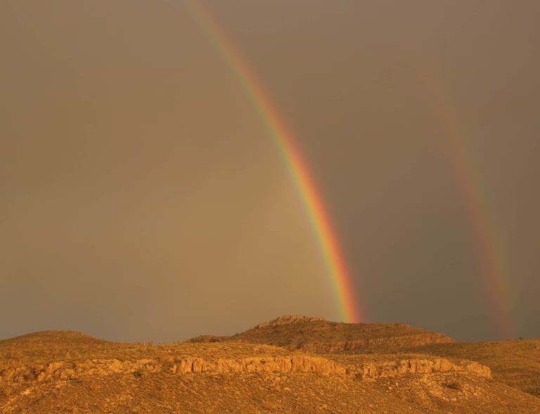 Gyvenimas niekada netampa nepakeliamu dėl aplinkybių, o tik dėl prasmės ir tikslo trūkumo.