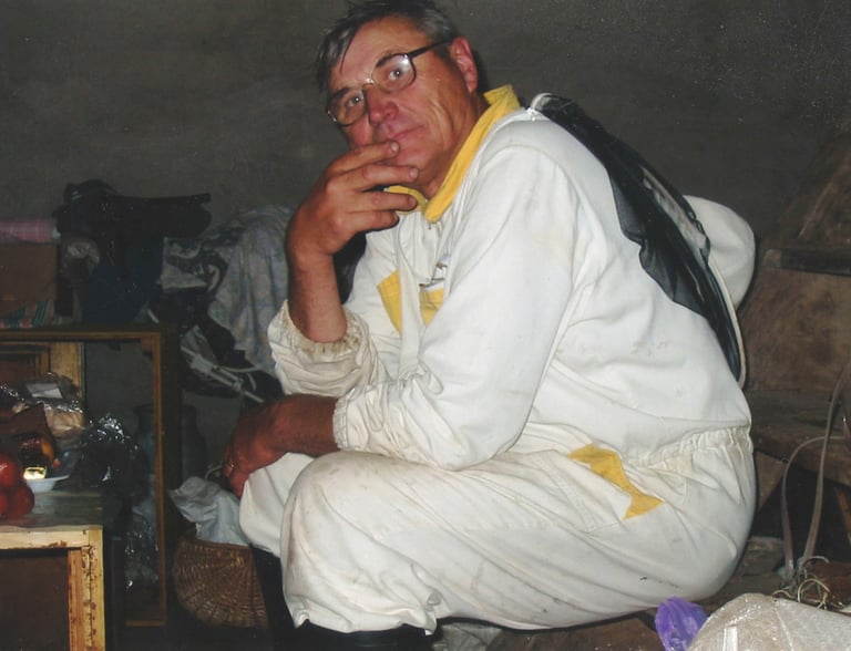 Apis cara medus kungiai