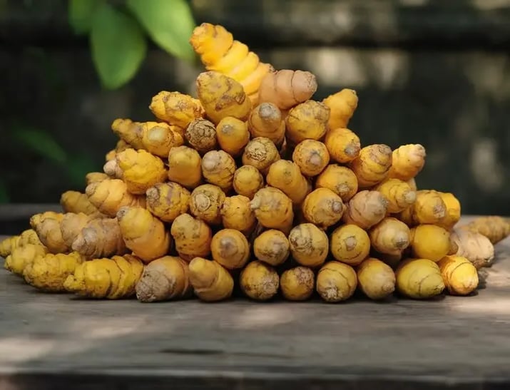 High-quality Indian turmeric finger  exports