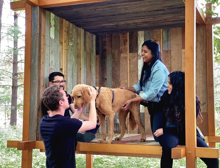 A photo of people and a dog laughing inside a wood pavilion