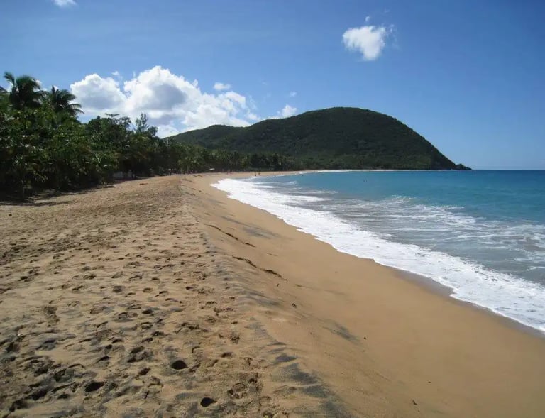 Plage de Grande Anse depuis Fleurs-des-Iles à Deshaies, Guadeloupe